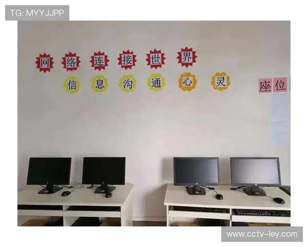 标准化与个性化平衡，体育活动管理寻求新均衡